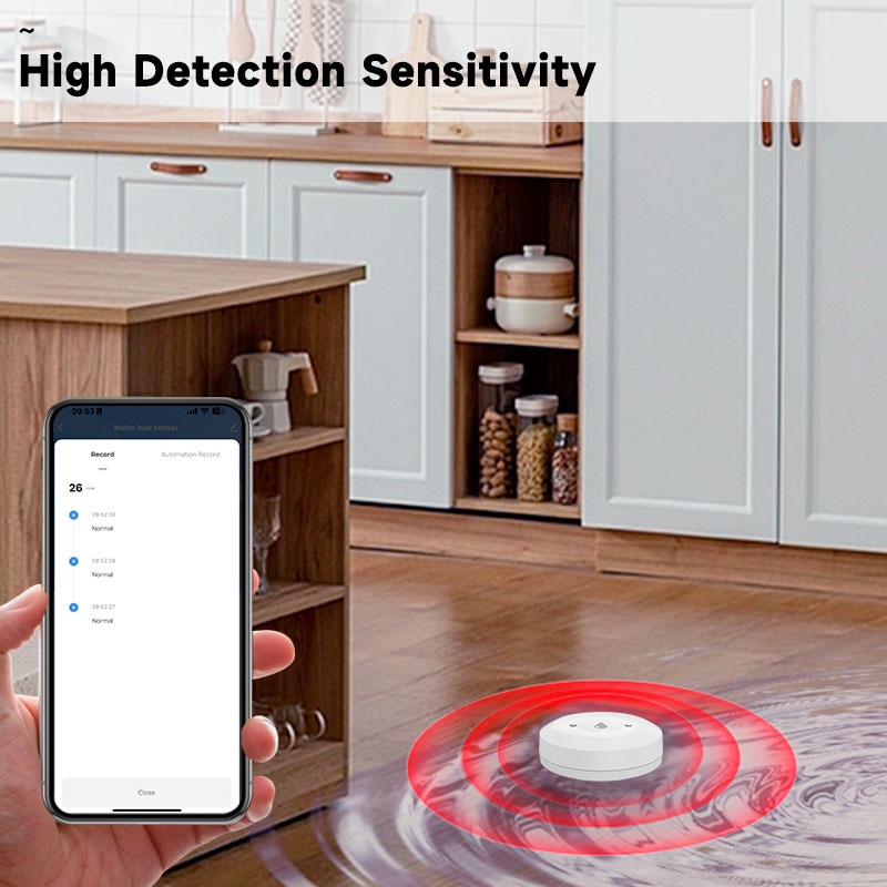 Tuya Immersion Sensor celup Ai - Water Alarm Sensor ulasan dan harga