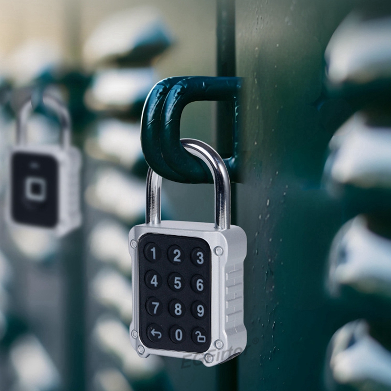 Tuya Bluetooth APP Remote Elec - Lockbox Key Secure ulasan dan harga