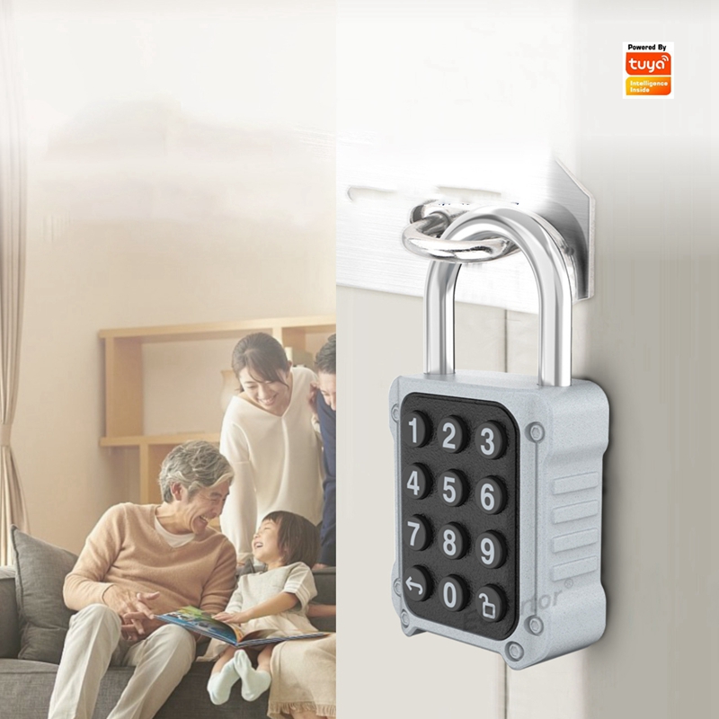 EGFirtor Tuya APP Kunci Pintu  - Lockbox Key Secure ulasan dan harga