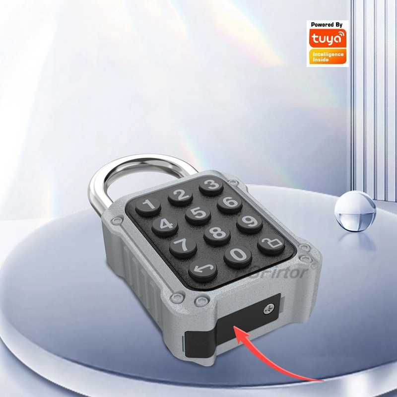 EGFirtor Tuya APP Kunci Pintu  - Lockbox Key Secure ulasan dan harga