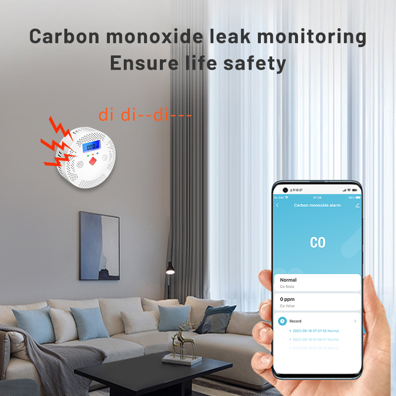 Tuya Alarm detektor karbon mon - Co Detector Plug ulasan dan harga